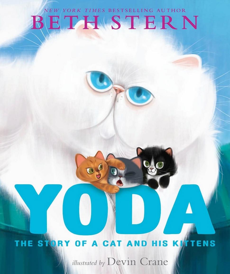 Yoda to Beth Stern: Help you I will.
