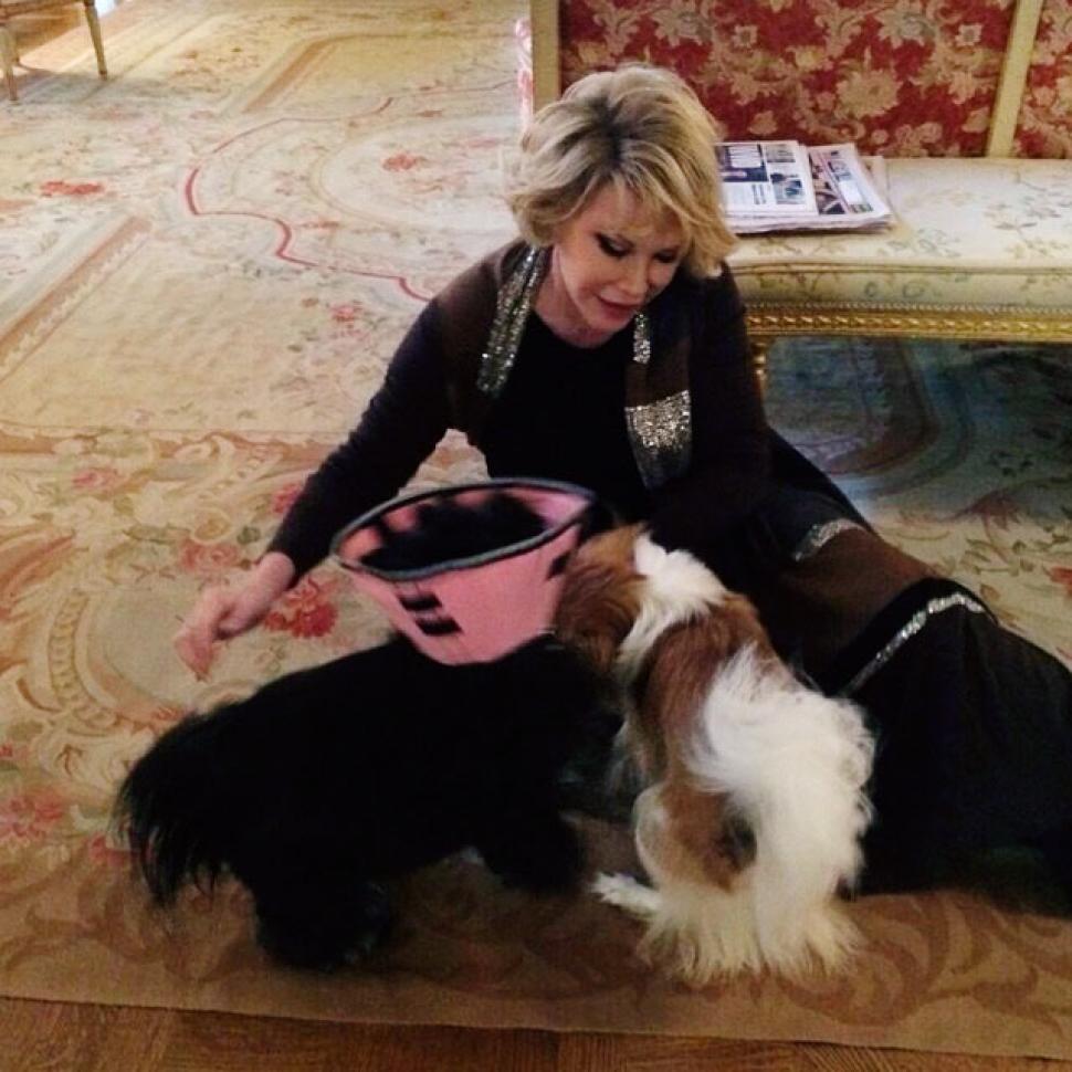 Joan Rivers with her dogs Samantha (l.) and Teegan in an Instagram photo posted on June 26.