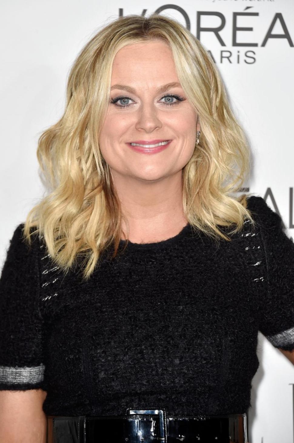 Actress Amy Poehler says "Your career is a bad boyfriend."