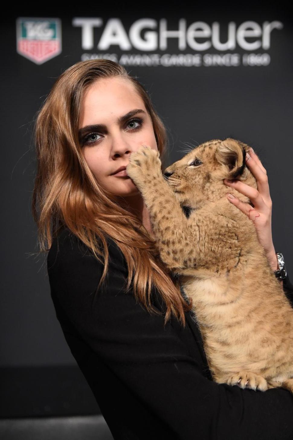 Model Cara Delevingne poses with a baby lion in the Thursday shoot.