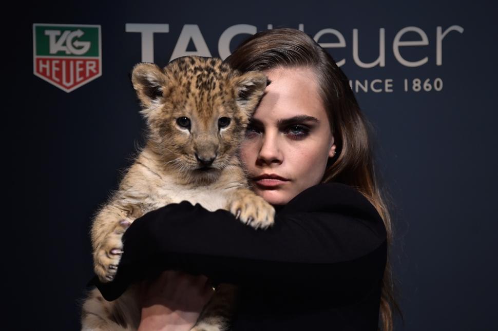 Model Cara Delevingne received backlash after posing with cubs for her new campaign.