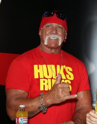 Hulk Hogan took Gawker to court after the site posted a sex tape of him.