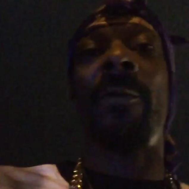 Snoop Dogg documented the entire incident in a series of Instagram videos from the moment he was pulled over to after his release following a urine test. "(They) made me pee in a cup, didn’t find s---," he said.