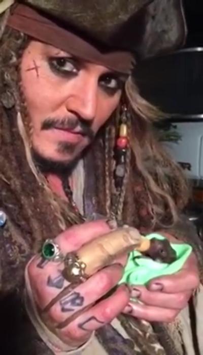 Johnny Depp visits an orphaned bat named Jackie Sparrow while dressed as his “Pirates of the Caribbean” character.