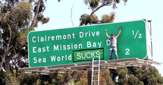 Steve-O previously protested the theme pack in December when he climbed atop a San Diego freeway sign and modified it to read: “Sea World Sucks.”
